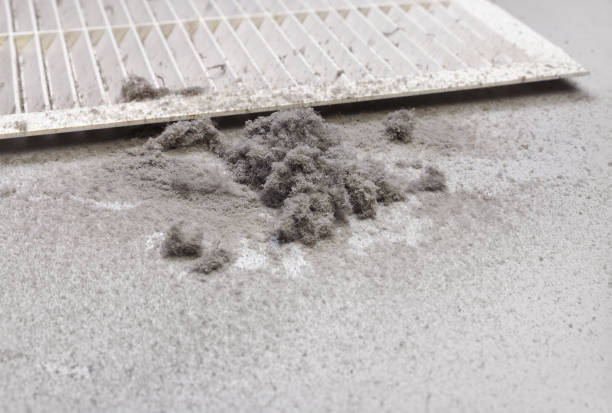 Best HVAC Air Duct Cleaning  in Clayton, MO