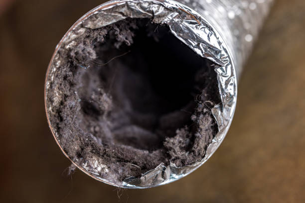 Best HVAC System Cleaning  in Clayton, MO